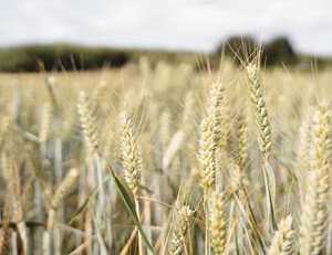 葡萄牙队晋级欧锦赛决赛阶段，C罗表现抢眼